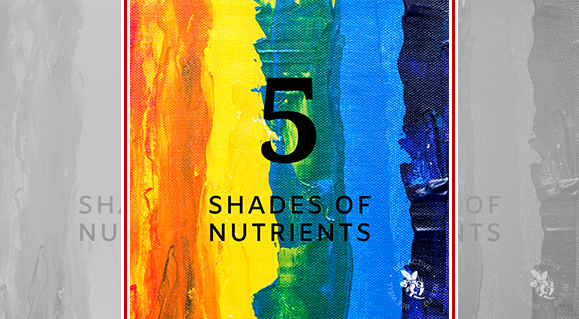 5 Shades of Nutrients