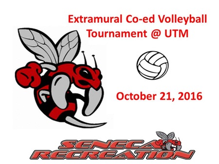 Extramural Co-ed Volleyball Tournament @ UTM October 21, 2016