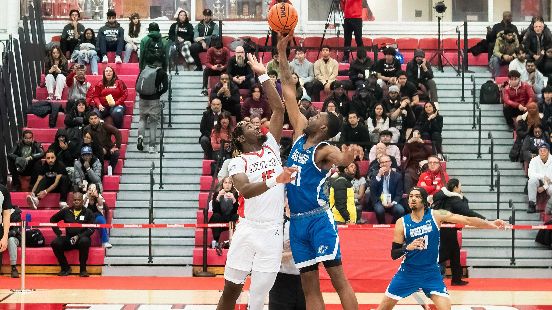 Sting Come Up Short to Close Out Sports Centre