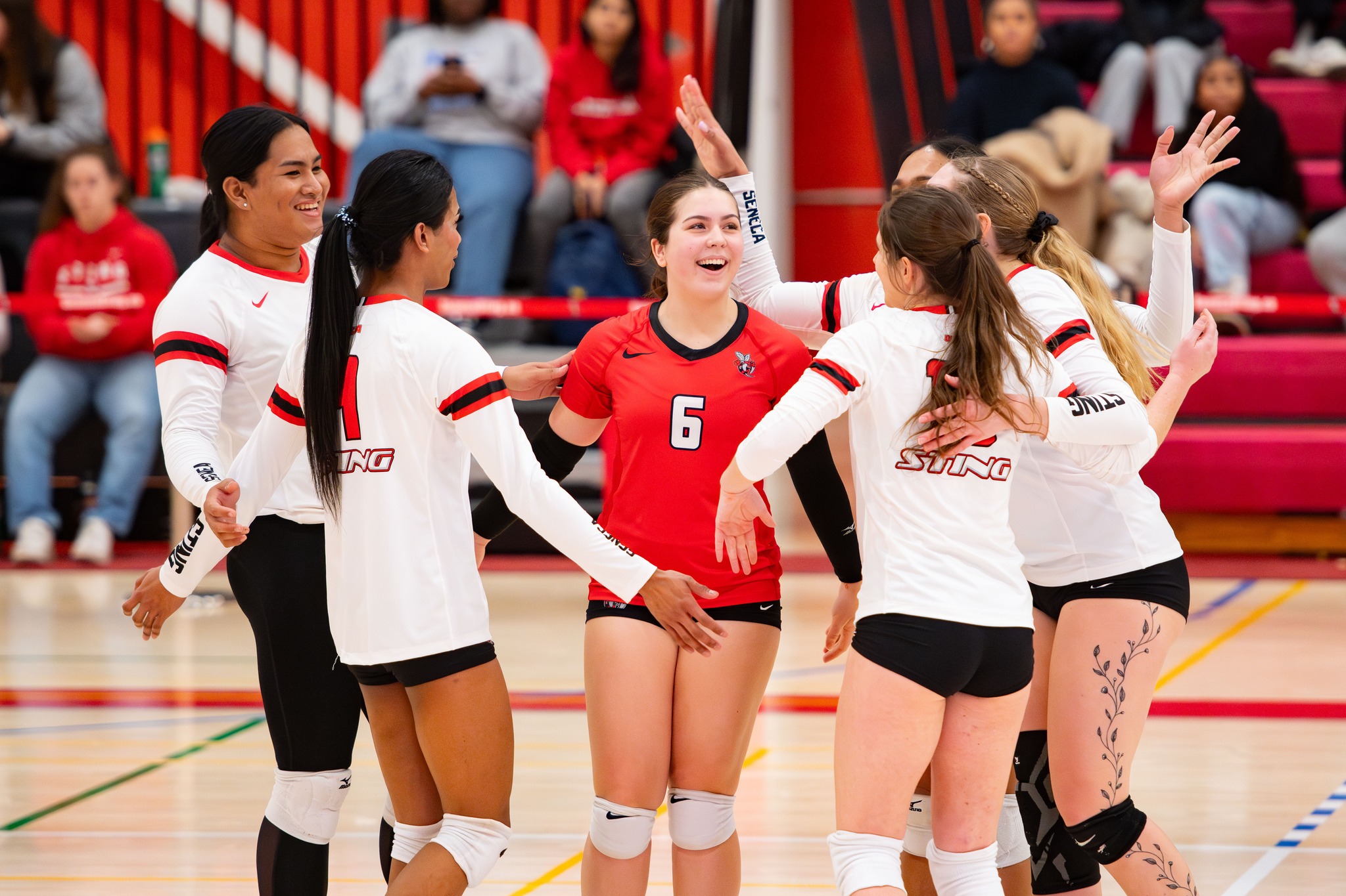 Women's Volleyball hosts a crossover game this Saturday